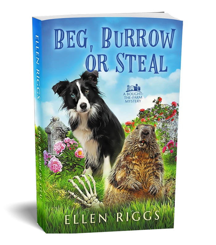 Beg Burrow or Steal Book
