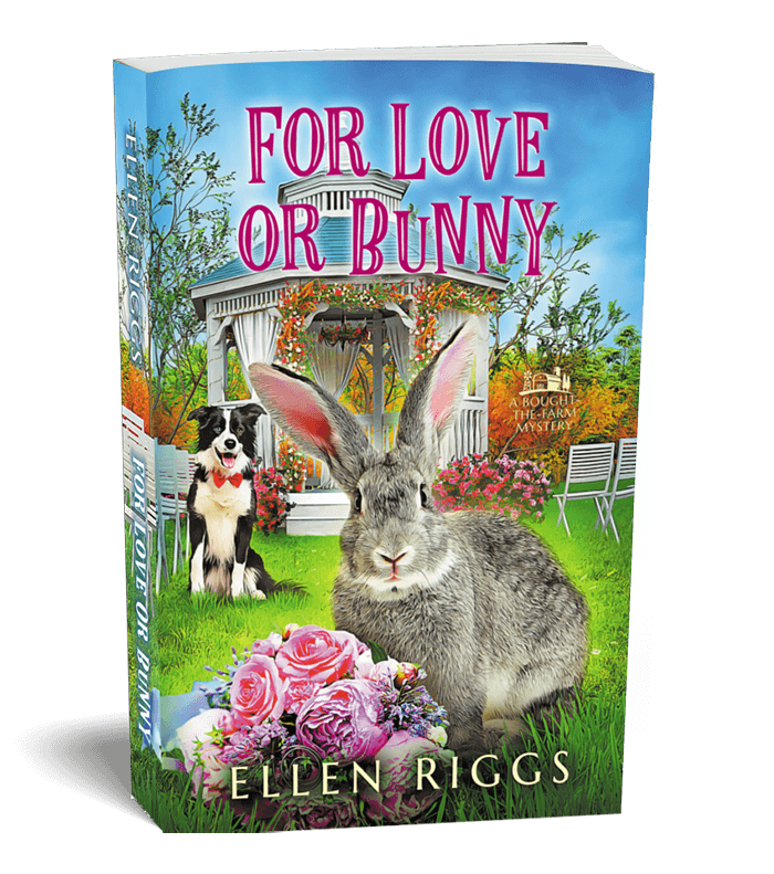 For Love or Bunny - Book