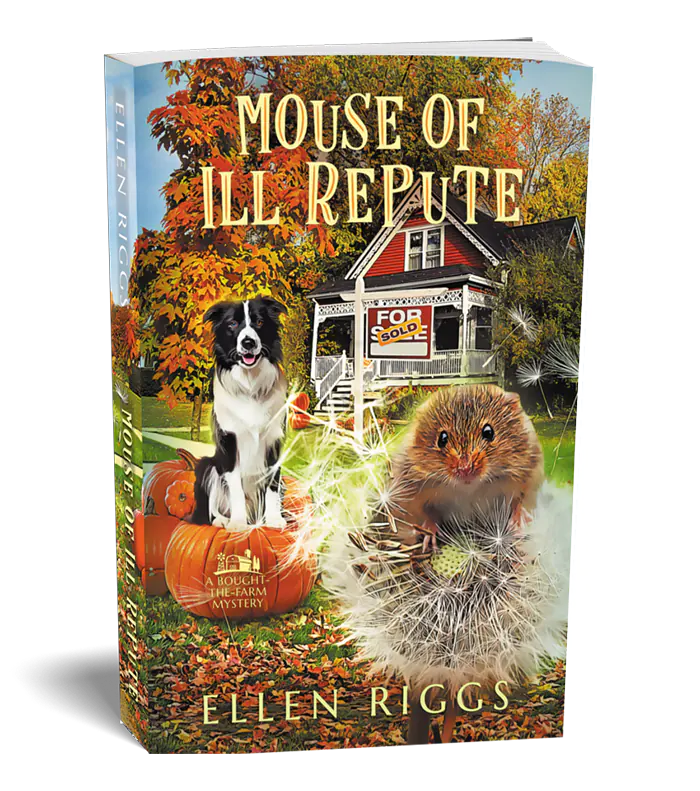 Mouse of Ill Repute Book